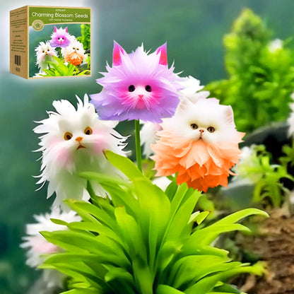 🇦🇺🐱GFOUK® Dazzle Blossom Seeds