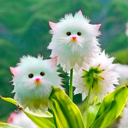 🇦🇺🐱GFOUK® Dazzle Blossom Seeds